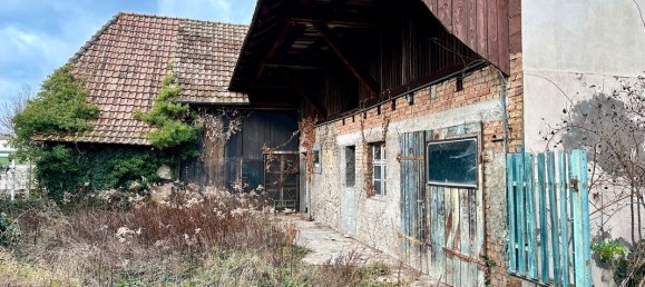 5 rooms House in Ottmarsheim, France No. 84452 3