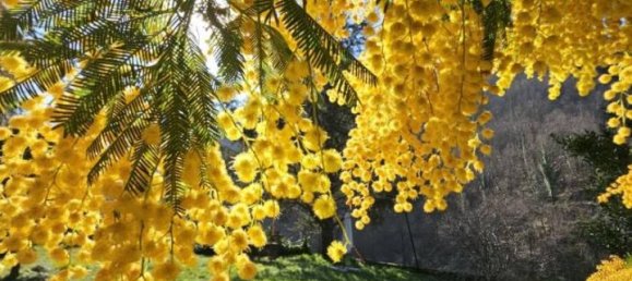 Villa de 8 habitaciónes en Ceranesi, Italy No. 173316 45