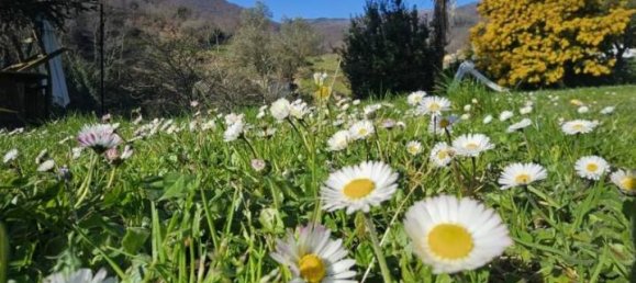 Villa de 8 habitaciónes en Ceranesi, Italy No. 173316 47