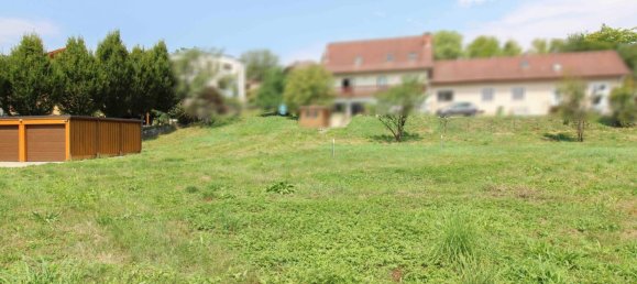  Land in Strassgang, Austria No. 219304 3