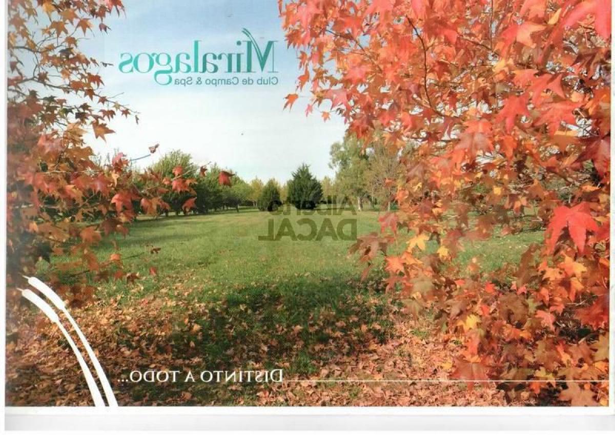  Land in Campo Creado, Argentina No. 31198