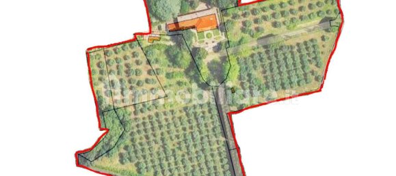 8 chambres Villa à Monteriggioni, Italy No. 213880 34