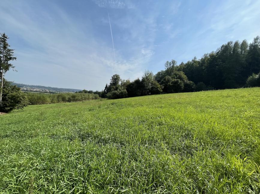 Grundstück in Weiz, Austria 1310m², Nr. 235747