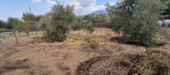 3 bedrooms House in Belpasso, Italy No. 48514 5