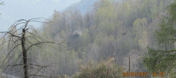 9000m² Land in Intragna, Italy No. 251120 6