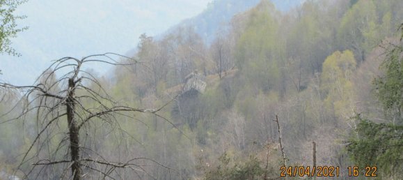 9000m² Land in Intragna, Italy No. 251120 15