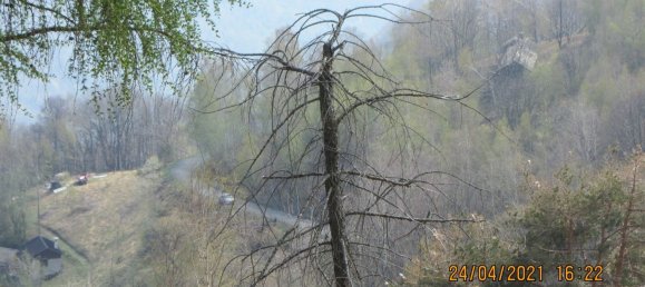 9000m² Land in Intragna, Italy No. 251120 18