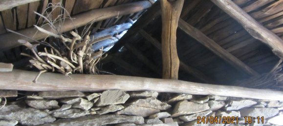 9000m² Land in Intragna, Italy No. 251120 10