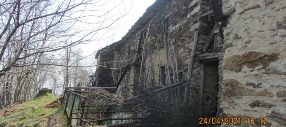 9000m² Land in Intragna, Italy No. 251120 14