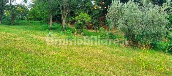 1709m² Land in San Clemente, Italy No. 319215 4