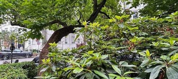 Penthouse de 9 divisões em Dusseldorf, Germany N.º 107615 8