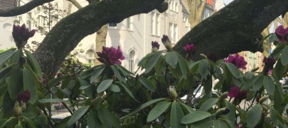 Penthouse de 9 divisões em Dusseldorf, Germany N.º 107615 3