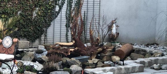 Дом с 4 спальнями в Гросеберсдорф, Австрия № 172858 3