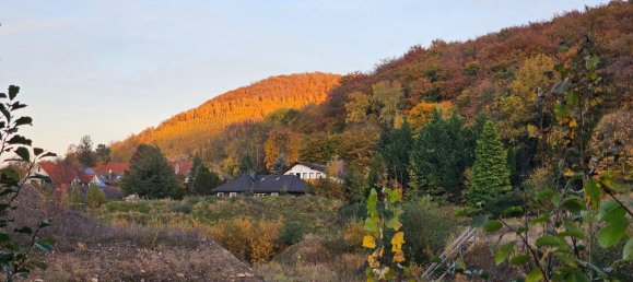 Estúdio em Goslar, Germany N.º 295035 20