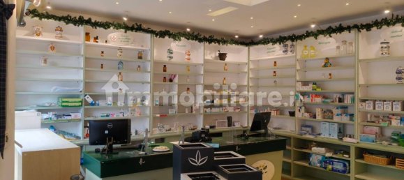 2 rooms Commercial property in Trieste, Italy No. 257550 3