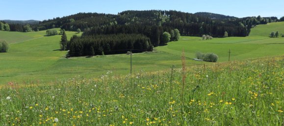  قطعة أرض في Liebenau, Austria 1297متر مربع رقم 116114 2