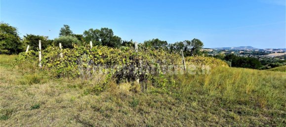 5 غرف نوم منزل في Magliano di Tenna, Italy رقم 226559 3