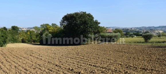 5 غرف نوم منزل في Magliano di Tenna, Italy رقم 226559 4