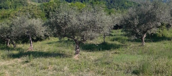 25480m² Land in Penne, Italy No. 65720 3