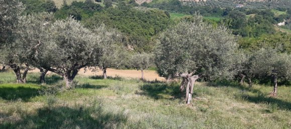 25480m² Land in Penne, Italy No. 65720 2
