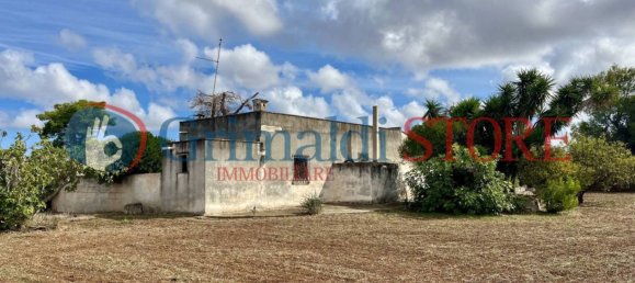 5 rooms House in Carovigno, Italy No. 226323 13