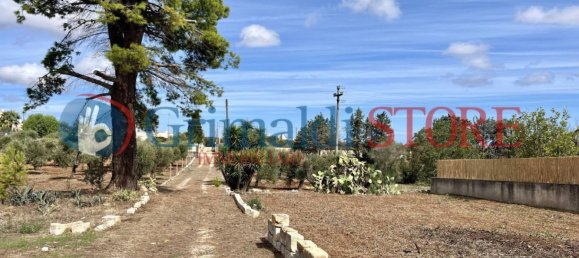 5 rooms House in Carovigno, Italy No. 226323 36