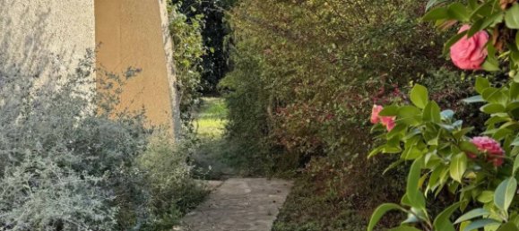 Villa de 6 dormitorios en Santa-Lucia-di-Moriani, France No. 62768 20