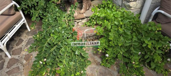 Casa de 1 dormitorio en Fosciandora, Italy No. 305884 45