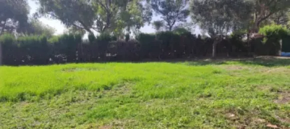  Land in El Vendrell, Spain No. 187374 5