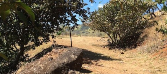 Земельный участок в Атенас, Коста-Рика № 1614 6