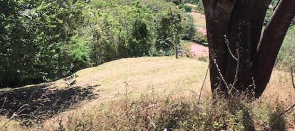 Земельный участок в Атенас, Коста-Рика № 1614 4