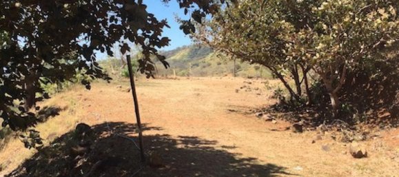 Земельный участок в Атенас, Коста-Рика № 1614 5