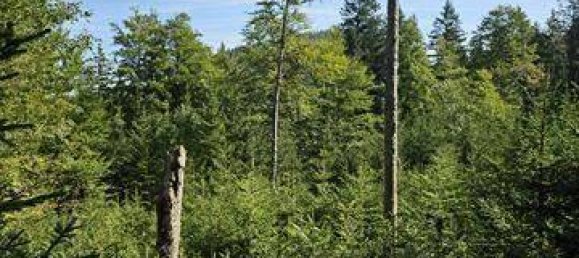 Terreno em Bad Tolz-Wolfratshausen, Germany N.º 178324 7