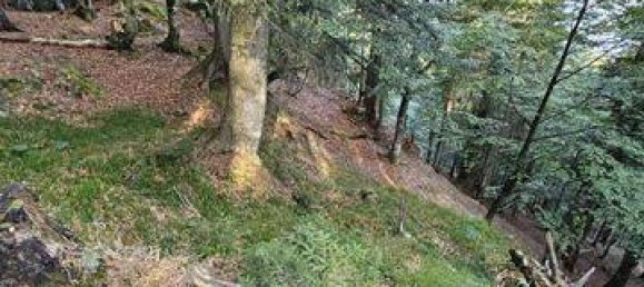 Terreno em Bad Tolz-Wolfratshausen, Germany N.º 178324 2