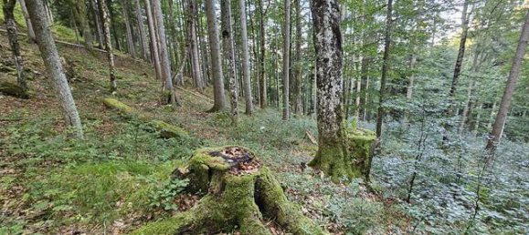 Terreno em Bad Tolz-Wolfratshausen, Germany N.º 178324 3