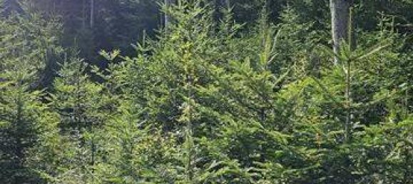 Terreno em Bad Tolz-Wolfratshausen, Germany N.º 178324 8