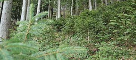 Terreno em Bad Tolz-Wolfratshausen, Germany N.º 178324 5