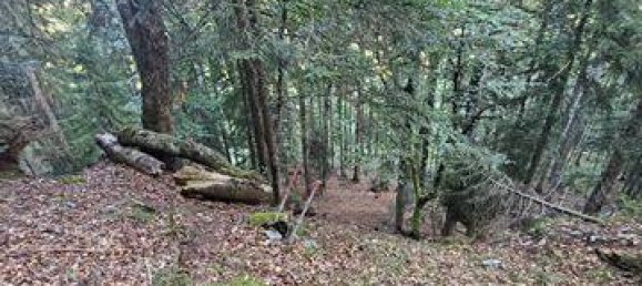 Terreno em Bad Tolz-Wolfratshausen, Germany N.º 178324 4