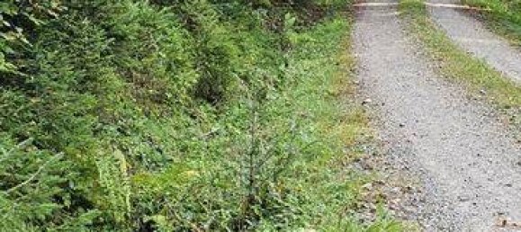 Terreno em Bad Tolz-Wolfratshausen, Germany N.º 178324 10