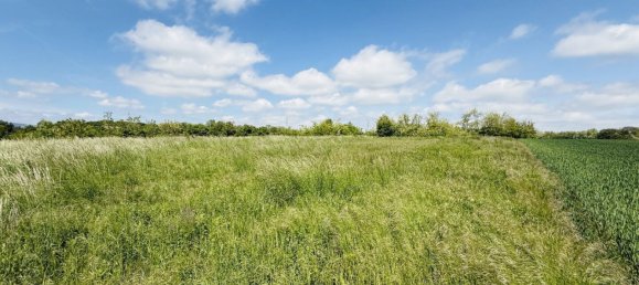 Land in Ziersdorf, Austria No. 225603 2