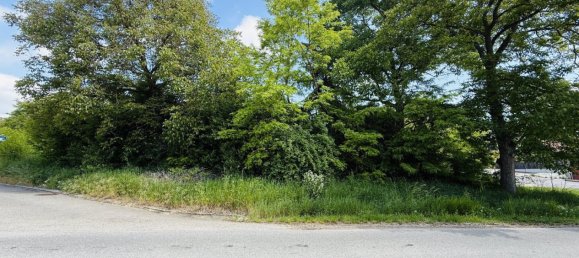 Land in Ziersdorf, Austria No. 225603 4