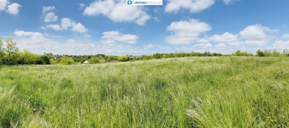 Land in Ziersdorf, Austria No. 225603 6