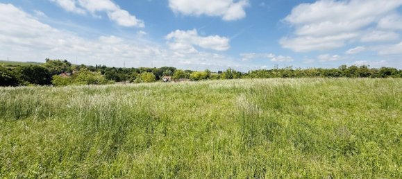 Land in Ziersdorf, Austria No. 225603 5