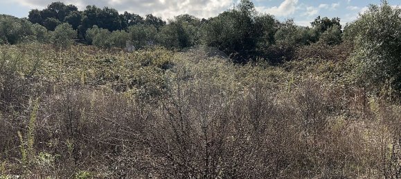 10500m² Land in Palmela, Portugal No. 155577 5