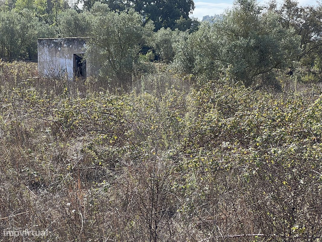 10500m² Land in Palmela, Portugal No. 155577