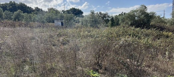 10500m² Land in Palmela, Portugal No. 155577 8