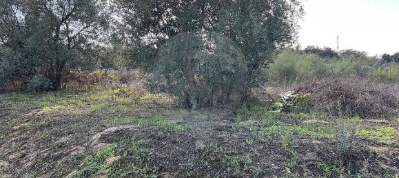 10500m² Land in Palmela, Portugal No. 155577 11