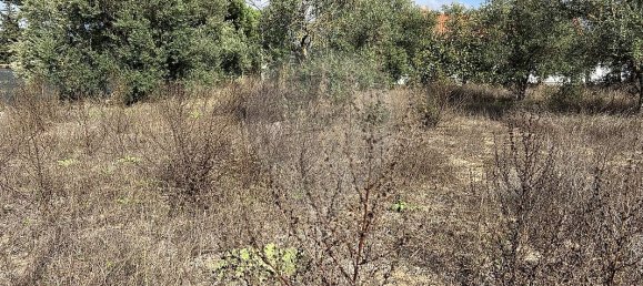 10500m² Land in Palmela, Portugal No. 155577 6