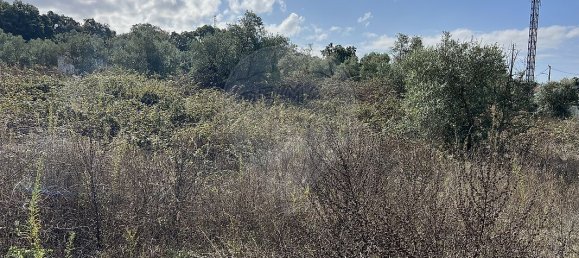 10500m² Land in Palmela, Portugal No. 155577 14