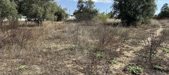 10500m² Land in Palmela, Portugal No. 155577 10